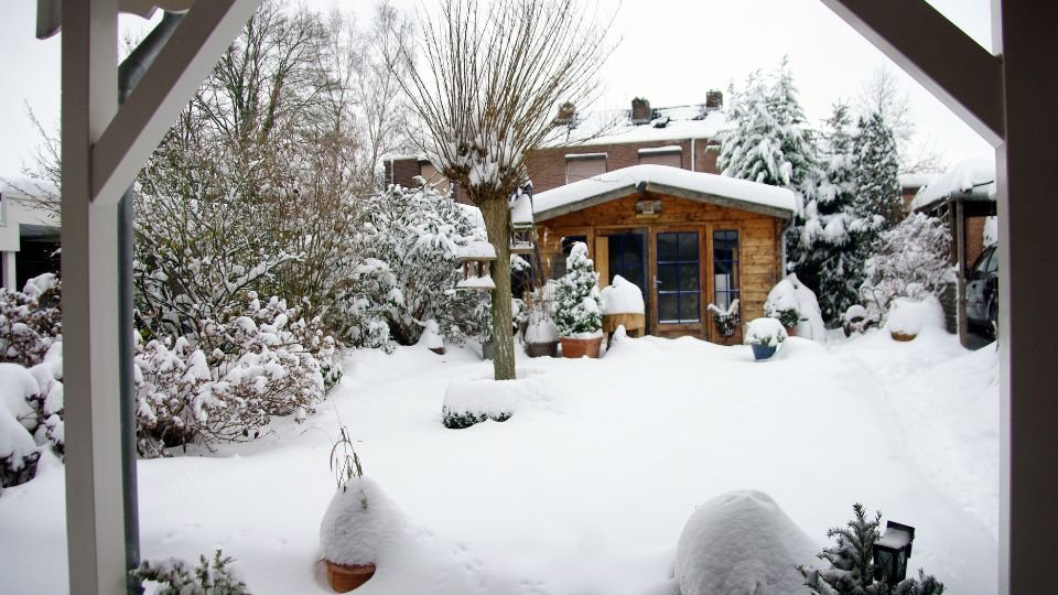 Téli kert, hóval borított fák és egy kis faház a háttérben.