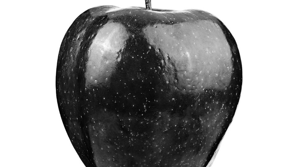 Egy gyönyörű, fényes Black Diamond alma, sötét háttér előtt.