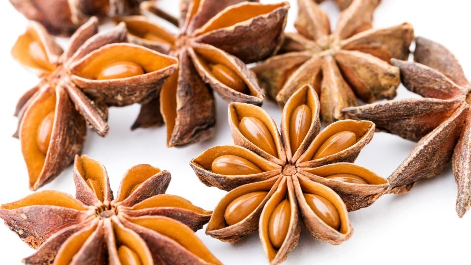 Csillagánizs, a fűszernövények csillagformájú termései, barnás színűek.