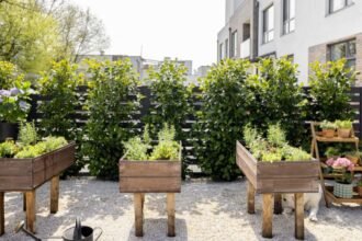 Egy napfényes kertben fa virágládák friss növényekkel, zöld bokrok között.