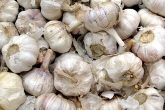 Friss fokhagymák halmaza, természetes környezetben, szép, fehér héjjal.