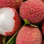 Licsi Litchi chinensis