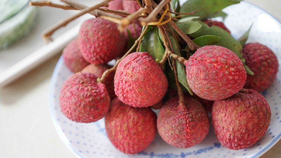 Licsi Litchi chinensis 4