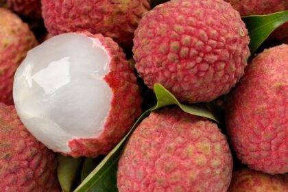 Licsi Litchi chinensis