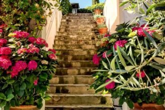 Lépcsőn virágzó növények, mediterrán hangulatban, napsütésben.