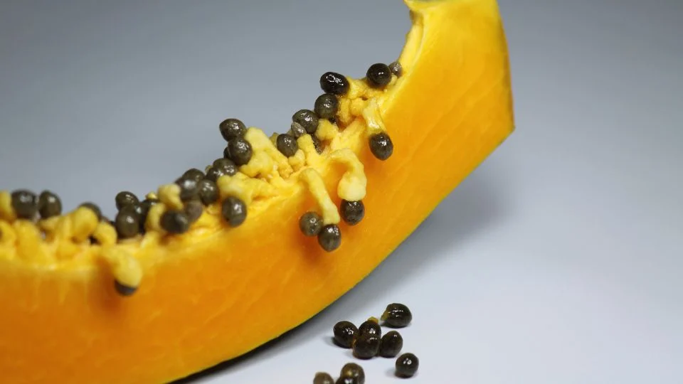 Friss papaya szelet és magok Egy papaya szelet, amelyen láthatók a fekete magok és a sárga gyümölcshús.