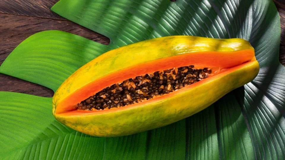 Félbevágott papaya a kertből Félbevágott papaya gyümölcs, élénk színű húsával és fekete magjaival.