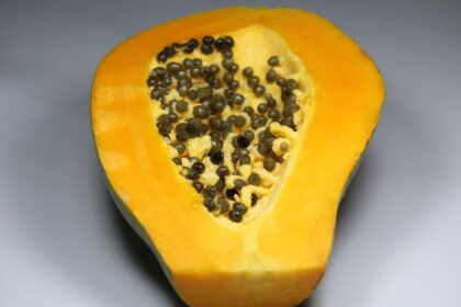 Papaya Carica papaya