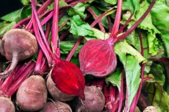 Friss cékla zöld levelekkel, egészséges zöldség a kertből.