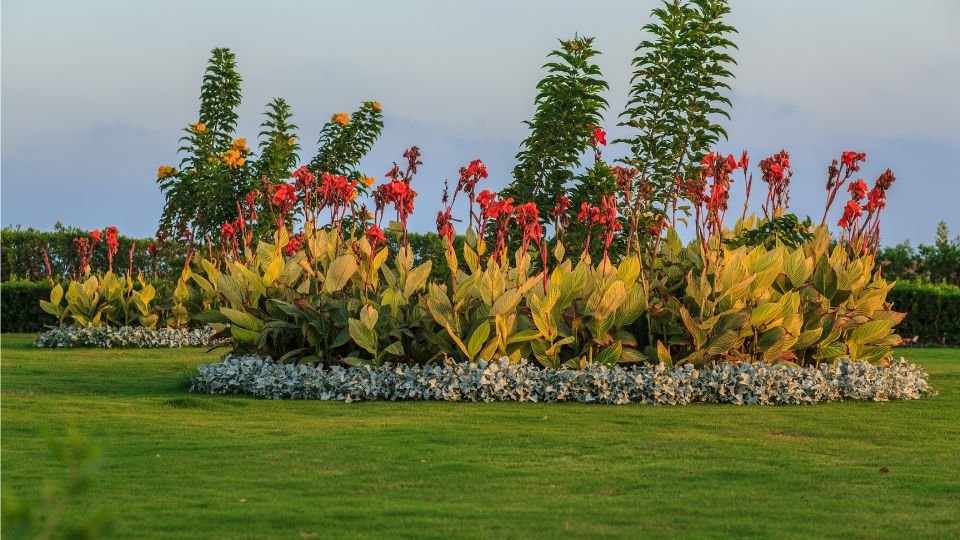 Színes évelőágyás, vibráló virágokkal és zöld levelekkel, napfényben.