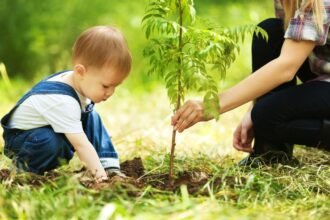 Egy kisgyerek és egy felnőtt közösen ültetnek egy fiatal fát a zöldellő kertben.