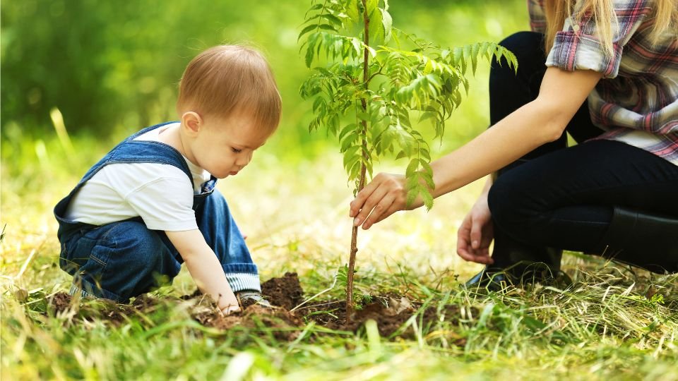 Egy kisgyerek és egy felnőtt közösen ültetnek egy fiatal fát a zöldellő kertben.