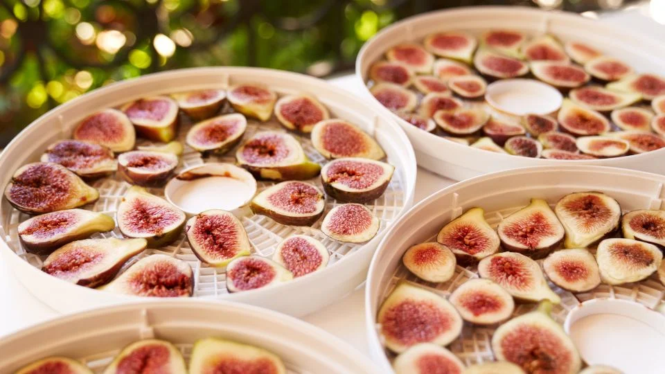 Aszalt füge: ízletes és egészséges csemege Aszalt füge szeletek száradnak szép, zöld háttér előtt.