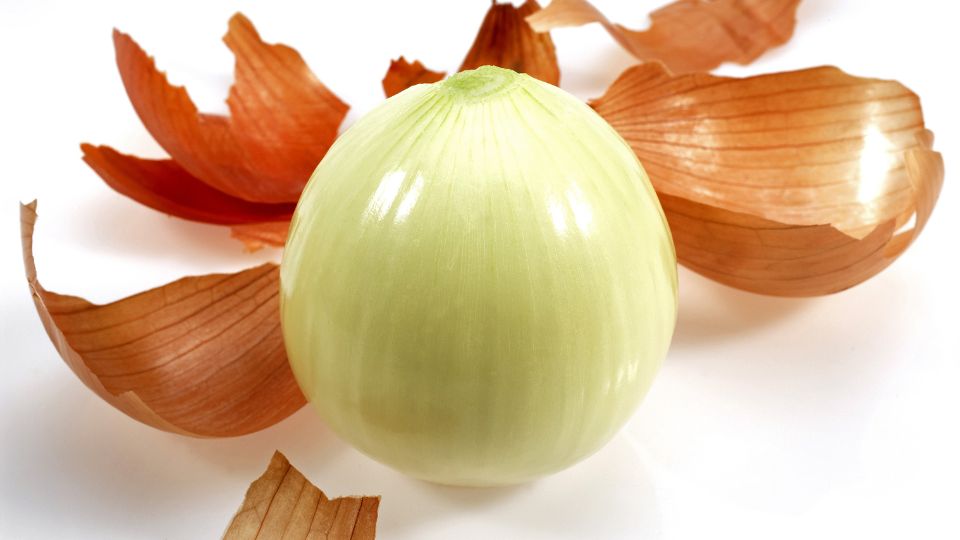 hagyma Allium 2