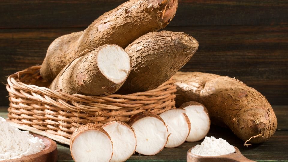 Friss manióka gyökerek egy kosárban, szeletelve és porrá őrölve, természetes környezetben.