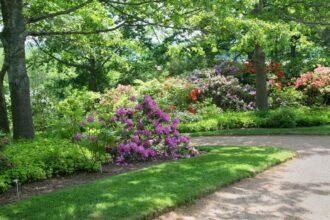 Egy gyönyörű kert színes virágokkal, zöld fűvel és fákkal körülvéve.