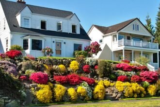 Két ház színes virágokkal teli kerttel, napfényben ragyogó növényekkel.