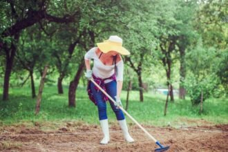 Egy nő a kertben dolgozik, gereblyével készíti elő a talajt a növények számára.