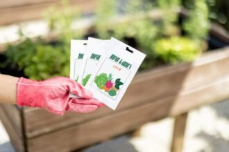 Kertészeti magokat tartó kéz, háttérben zöld növényekkel teli virágláda.