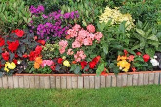 Színes virágágyás különböző virágokkal, zöld levelekkel körülvéve.