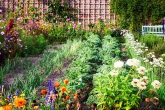 Színes virágokkal és friss zöldségekkel teli konyhakert, barátságos környezetben.