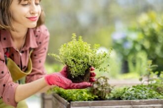 Egy fiatal nő, aki zöld növényt tart a kezében, boldogan mosolyogva a kertben.