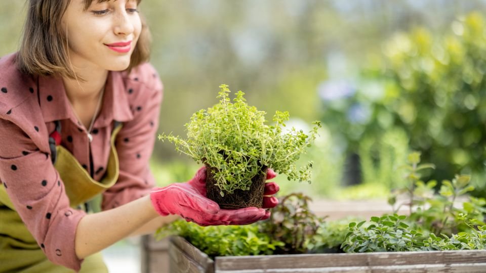 Egy fiatal nő, aki zöld növényt tart a kezében, boldogan mosolyogva a kertben.