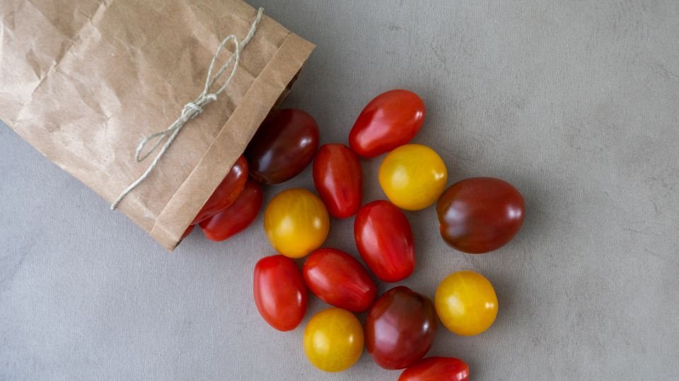Friss koktélparadicsomok színes keveréke papírzacskóból kiborulva.