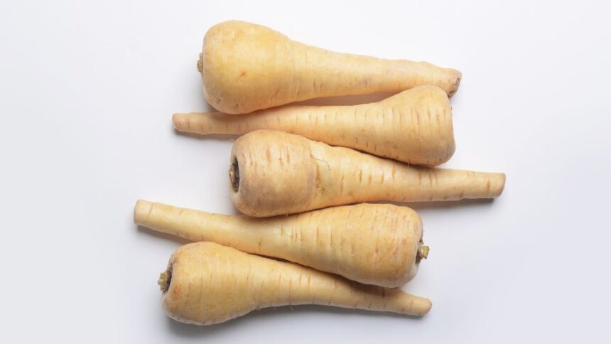 pasztinak Pastinaca sativa