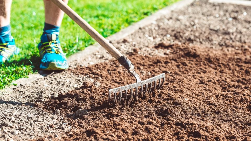 Egy kertész gereblyézi az agyagos talajt, hogy előkészítse a kertet.