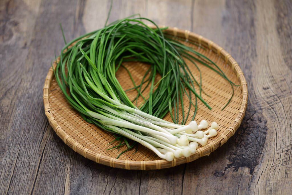 Allium scorodoprasum
