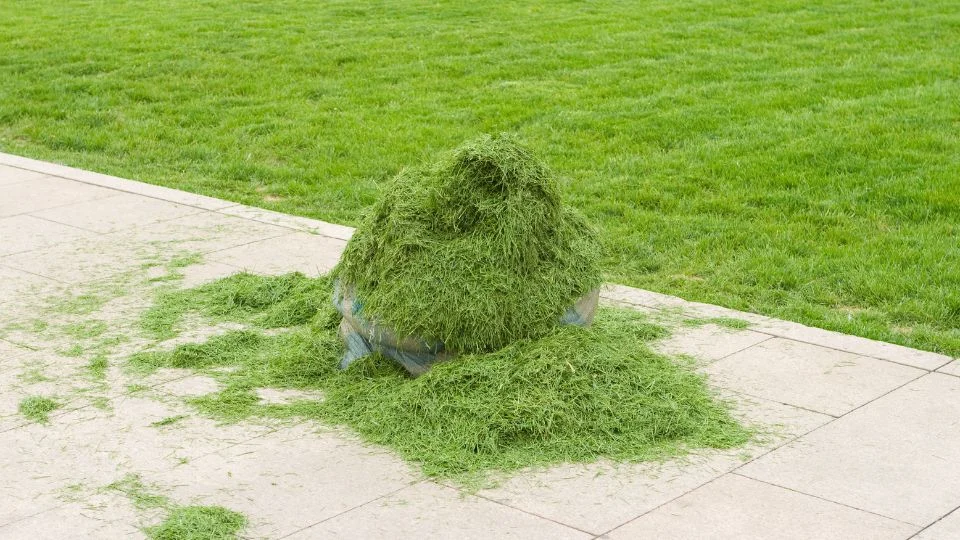 Fűnyesedék halom egy zöld pázsit mellett, szép kert háttérrel.