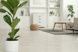 Egy lantlevelű fikusz áll egy modern nappaliban, zöld levelei élénkítik a teret.