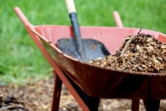 Egy piros kerekes talicska tömörített fás mulcsot tartalmaz, háttérben zöld fűvel.