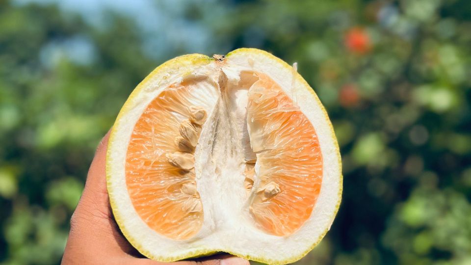 Pomelo