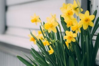 Sárga évelő virágok, amelyek vidámságot hoznak a kertbe.