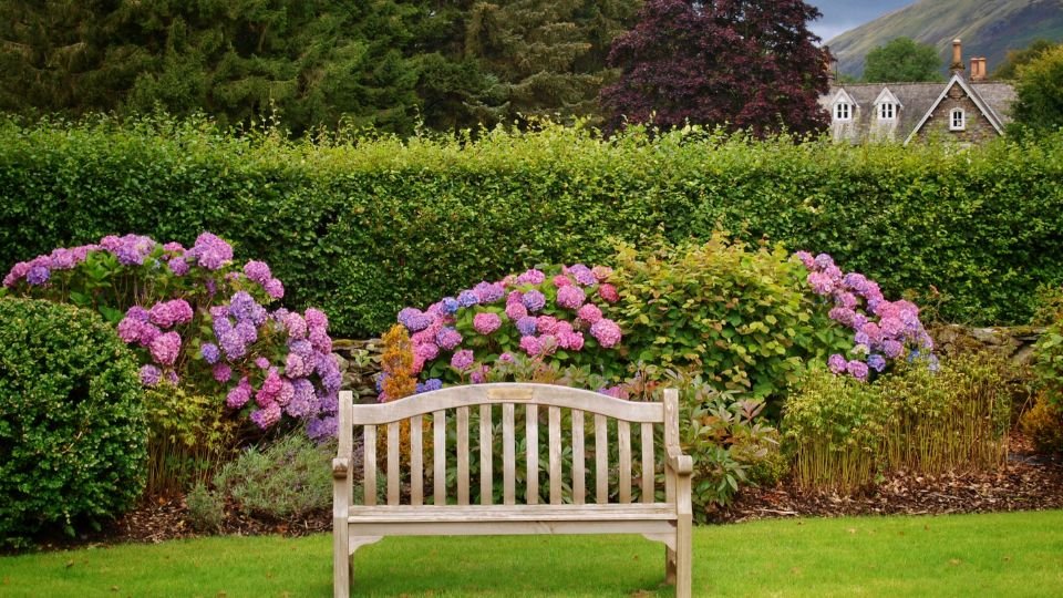 Egy gyönyörű angolkert, középen egy fából készült pad, körülötte színes hortenzia virágokkal.