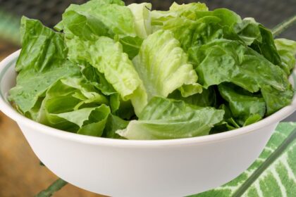fejes salataban