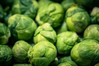 Friss kelbimbók zöld színben, egyenletesen elhelyezve, egészséges megjelenéssel.