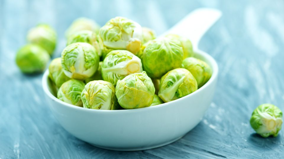 kelbimbo Brassica oleracea var. gemmifera 1