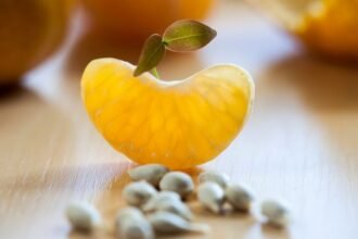 Egy mandarin mag csírázása, zöld levéllel a gyümölcsön, háttérben narancsokkal.