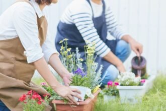 Két ember virágokat ültet a kertben, tavaszi napsütésben, barátságos hangulatban.