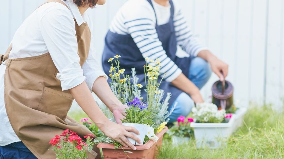 Két ember virágokat ültet a kertben, tavaszi napsütésben, barátságos hangulatban.