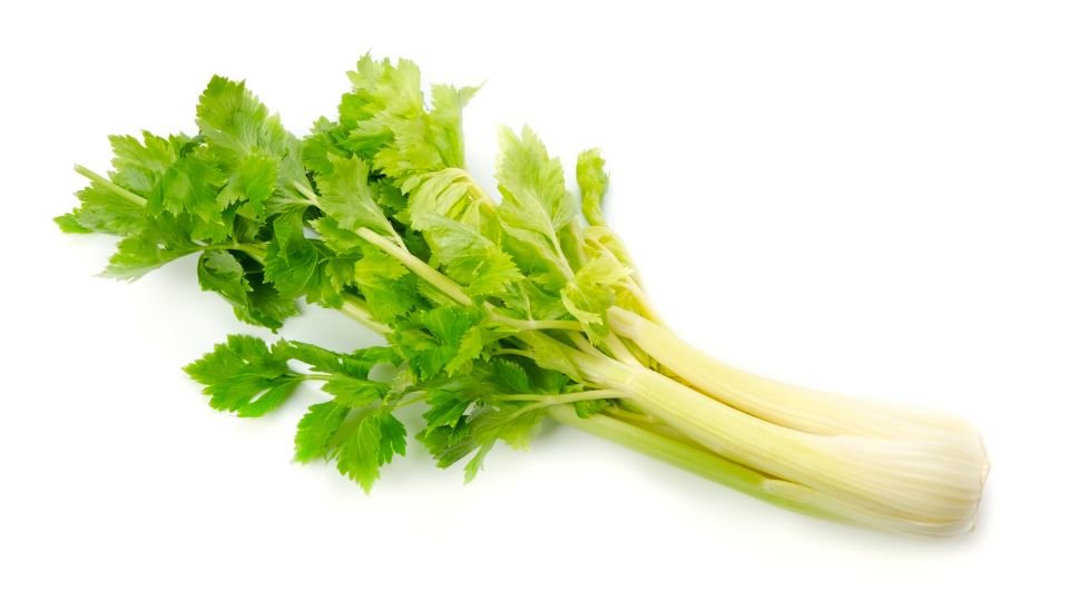 Friss zeller, élénk zöld levelekkel és roppanós szárral, egészséges választás a konyhában.