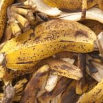 Bananhej hasznalata zoldtragyakent
