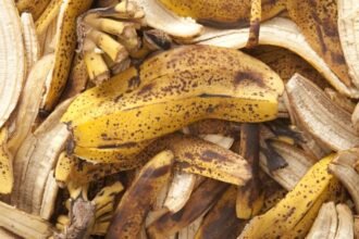 Banánhéjak halmaza, természetes zöldtrágya a kerthez