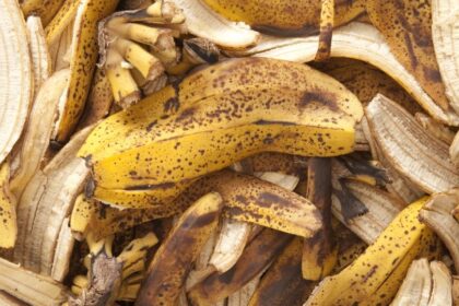 Bananhej hasznalata zoldtragyakent