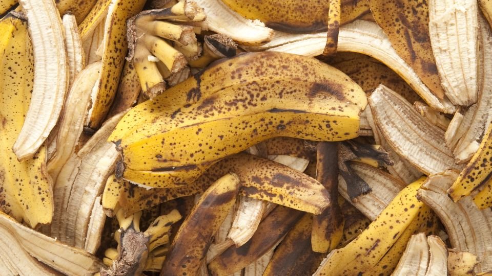 Banánhéjak halmaza, természetes zöldtrágya a kerthez