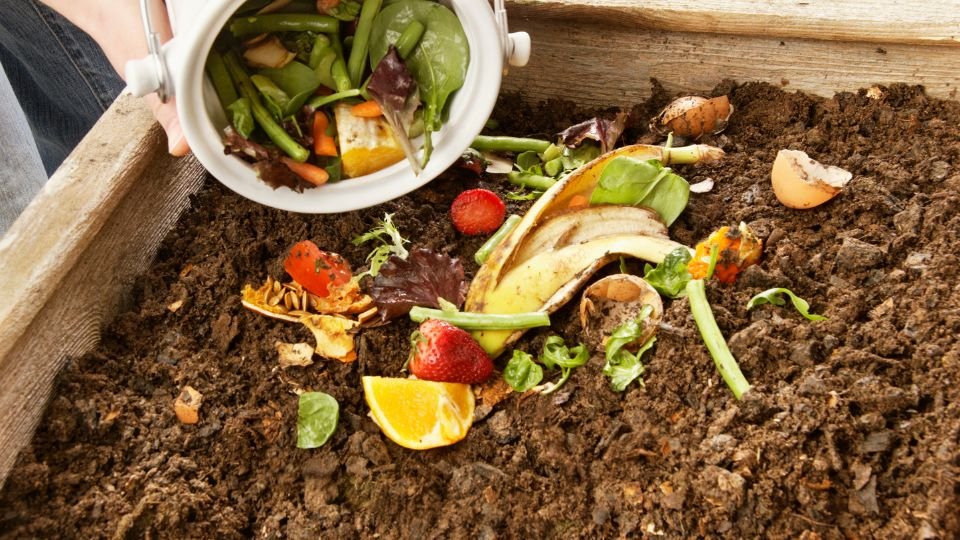 Friss zöldségek és gyümölcsök komposztálása egy komposztálóban, természetes anyagokkal.