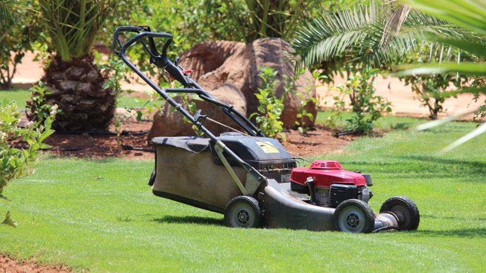 Fűnyíró a zöld pázsiton, körülötte dús növényzet és fák.